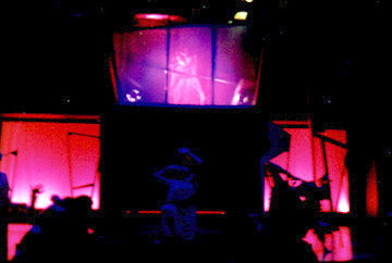 Primal Visions